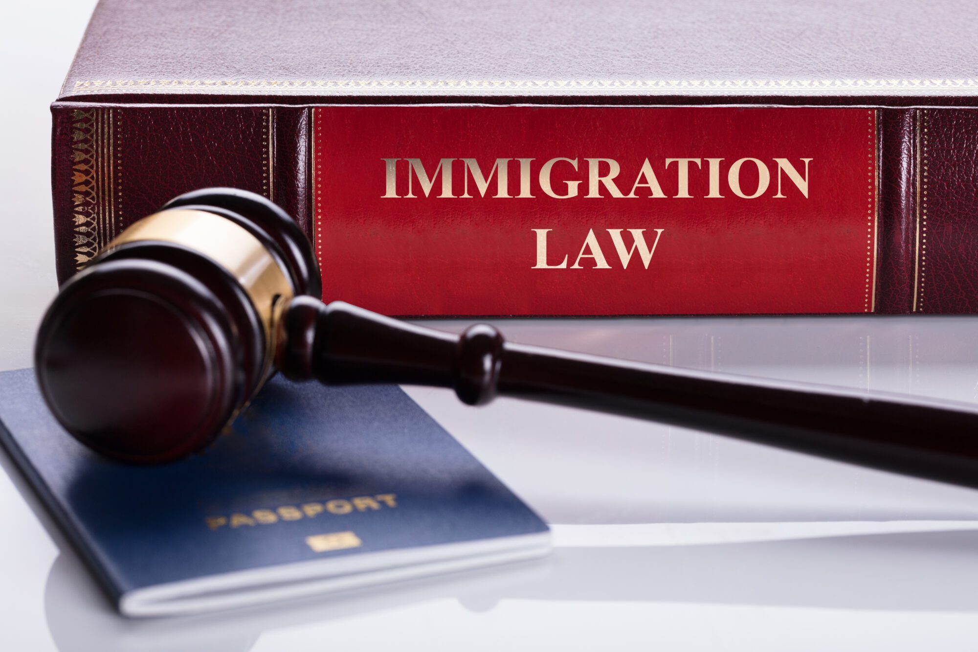 Navigating the Backlog of the American Immigration System Vanderpool